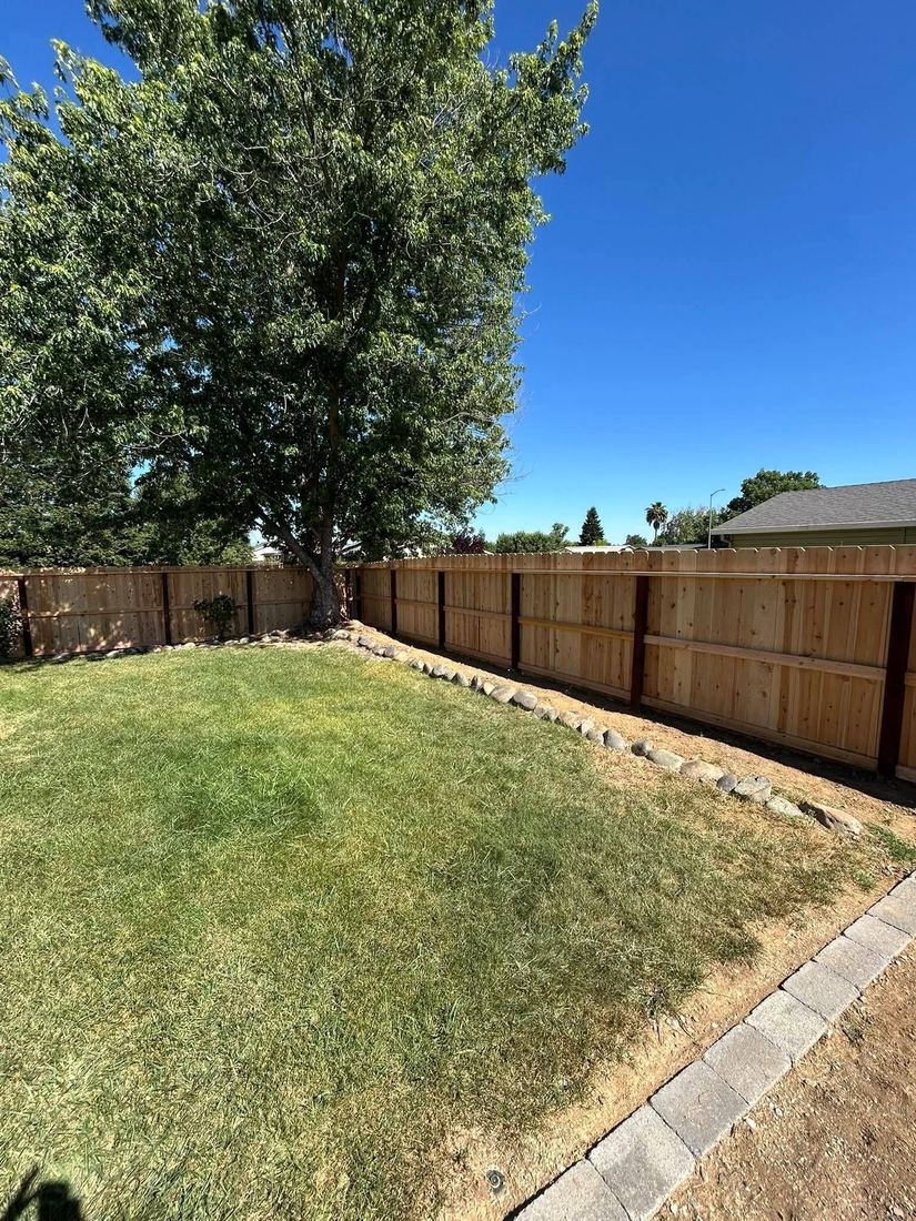 New cedar fence enclosing a backyard